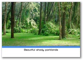 Weeroona Holiday Park - Manning Point: Beautiful shady parklands.