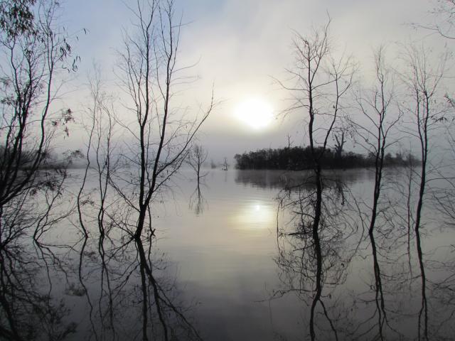 Mannum Riverside Caravan Park - Mannum: Purty sunrise in the mist.