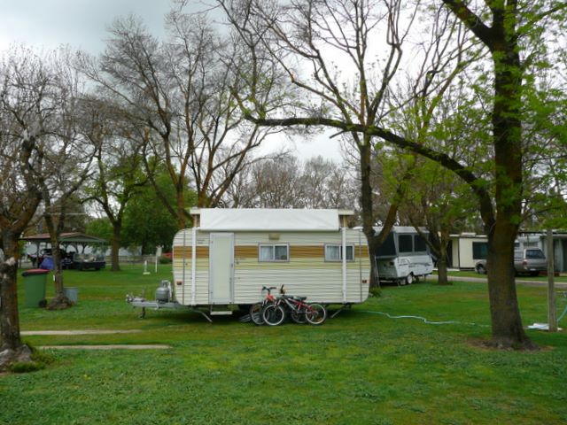 High Country Holiday Park - Mansfield: Powered sites for caravans
