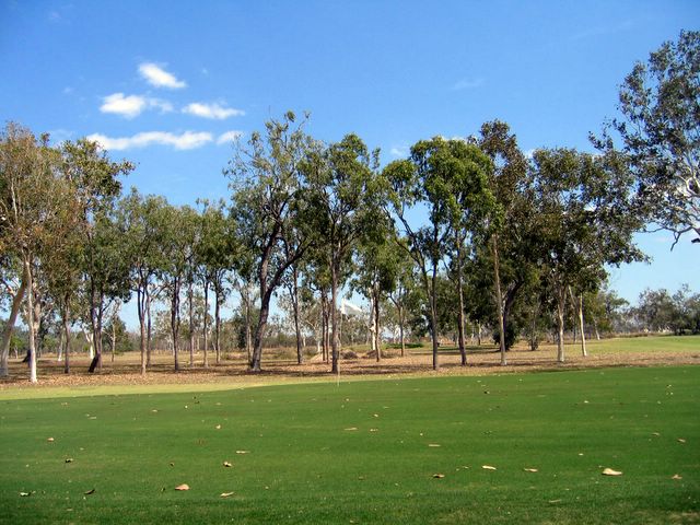 Mareeba Golf Course - Mareeba: Green on Hole 6