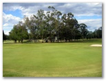 Maryborough Golf Course - Maryborough: Green on Hole 12