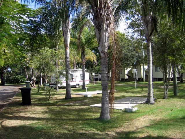 Wallace Motel & Caravan Park - Maryborough: Powered sites for caravans with shady palms