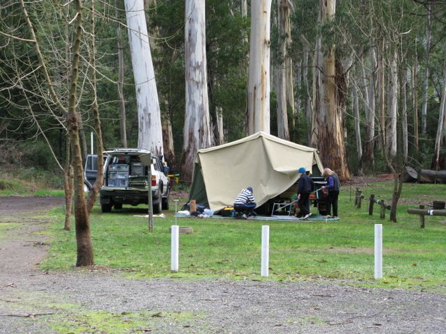 Marysville Caravan and Holiday Park - Marysville: Area for tents and camping