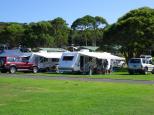 Merry Beach Caravan Resort - Kioloa: Powered caravan and Camping sites