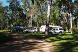 Travellers Rest Caravan & Camping Park - Midge Point: Some of the powered sites