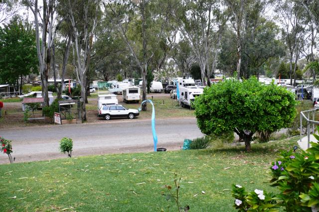Buronga Riverside Tourist Park - Buronga: Large powered sites which are easily accessed.