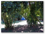 Dunk Island View Caravan Park - Mission Beach: Area for tents and camping