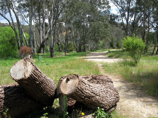 Magorra Caravan Park - Mitta Mitta: Area for tents and camping beside the river