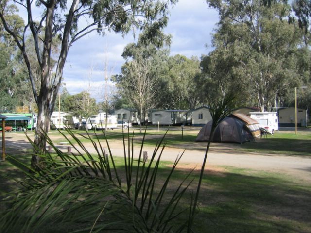 Cottonwood Holiday Park - Moama: Powered sites for caravans