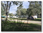 Cottonwood Holiday Park - Moama: Powered sites for caravans