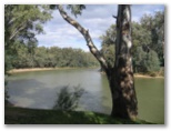 Cottonwood Holiday Park - Moama: The majestic Murray River
