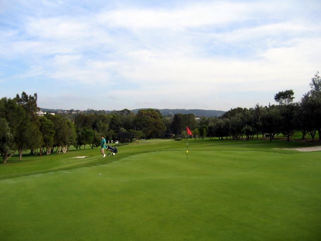 Mona Vale Golf Course - Mona Vale Sydney: Green on Hole 6 looking back along fairway