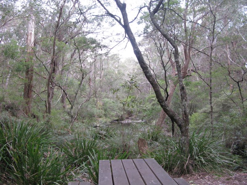 Monga National Park - Braidwood: View of the creek from the picnic table