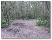 Monga National Park - Braidwood: Area for tents and camping