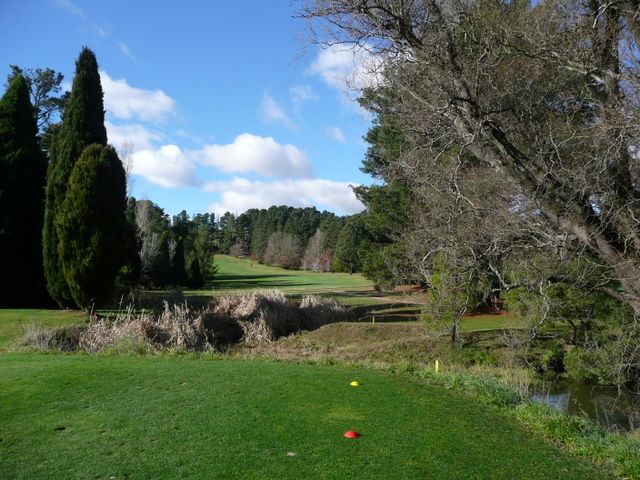 Moss Vale Golf Course - Moss Vale: Fairway view Hole 5