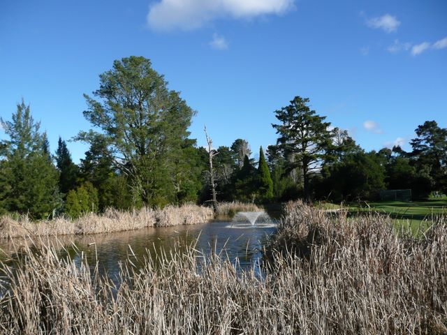 Moss Vale Golf Course - Moss Vale: Delightful water feature on Hole 6