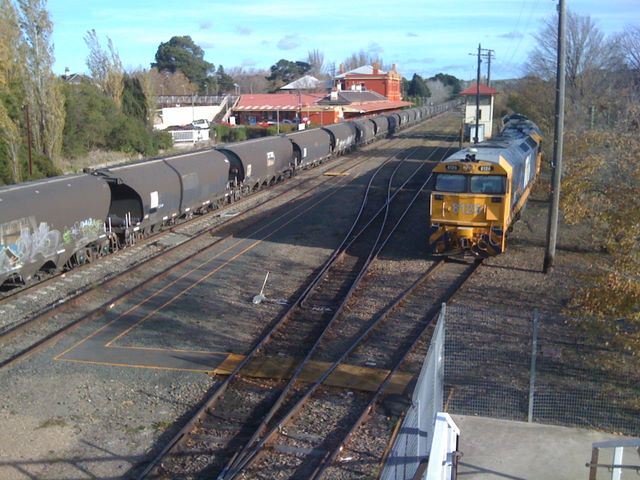 Moss Vale Railway Station - Moss Vale: Moss Vale Railway Station with goods trains.