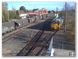 Moss Vale Railway Station - Moss Vale: Moss Vale Railway Station with goods trains.