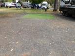 Mudgee Tourist & Van Resort - Mudgee: Powered site. Road base and small artificial grass.