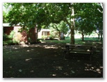 Mudgee Riverside Caravan & Tourist Park - Mudgee: Shady BBQ and picnic area at rear of cabins