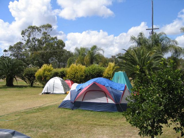Citrus Country Caravan Village - Mundubbera: Area for tents and camping