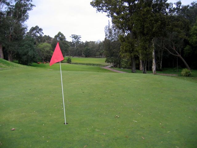 Muree Golf Club - Raymond Terrace: Green on Hole 6 looking back along fairway