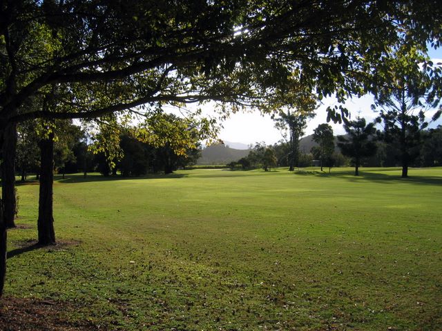 Murwillumbah Golf Club - Murwillumbah: Murwillumbah Golf Club Approach to the Green on Hole 7