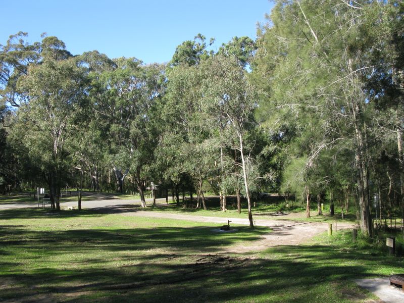 Korsmans Landing Camping Area - Myall Lakes National Park: Overview of camping area