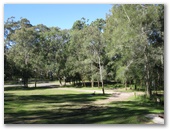 Korsmans Landing Camping Area - Myall Lakes National Park: Overview of camping area