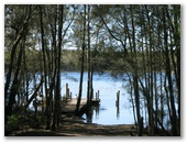 Korsmans Landing Camping Area - Myall Lakes National Park: Great for fishing