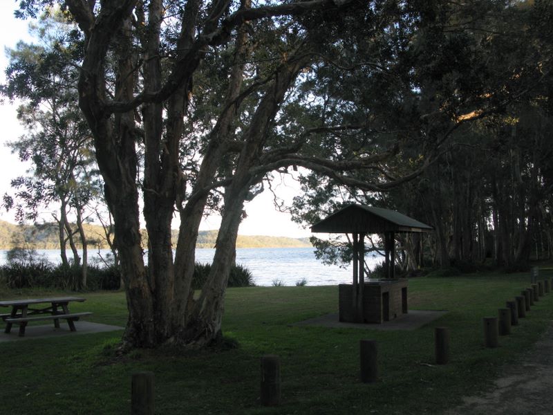 Little Lake (Neranie) Campground - Myall Lakes National Park: Picnic area