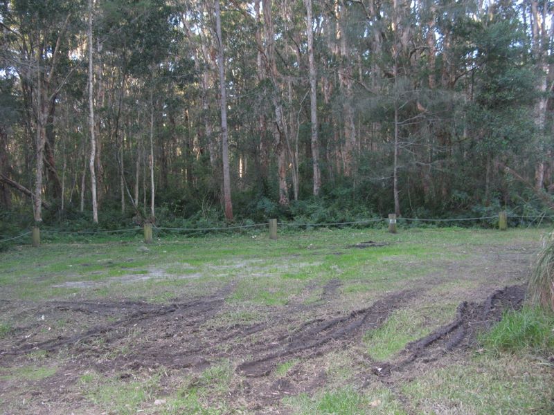 Little Lake (Neranie) Campground - Myall Lakes National Park: Can get a bit boggy after rain.