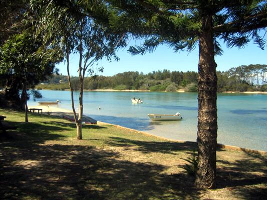 Foreshore Caravan Park - Nambucca Heads: The park is located beside the river.