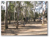 Tipperary Flat Park - Nanango: Picnic table among the trees.