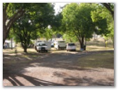 Twin Gums Caravan Park - Nanango: Shady powered sites for caravans