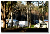 Nannup Caravan Park - Nannup: Powered sites for caravans with amenities shown on the left.