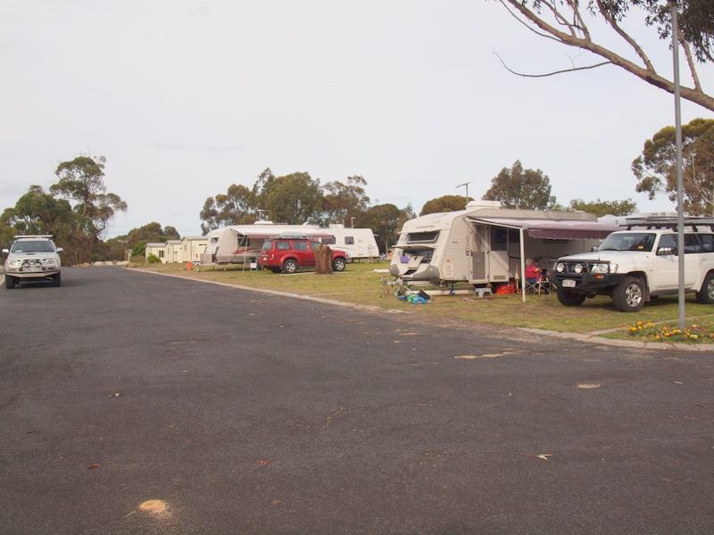 Naracoorte Holiday Park - Naracoorte: Powered sites with water and sullage with clearly defined large sites.