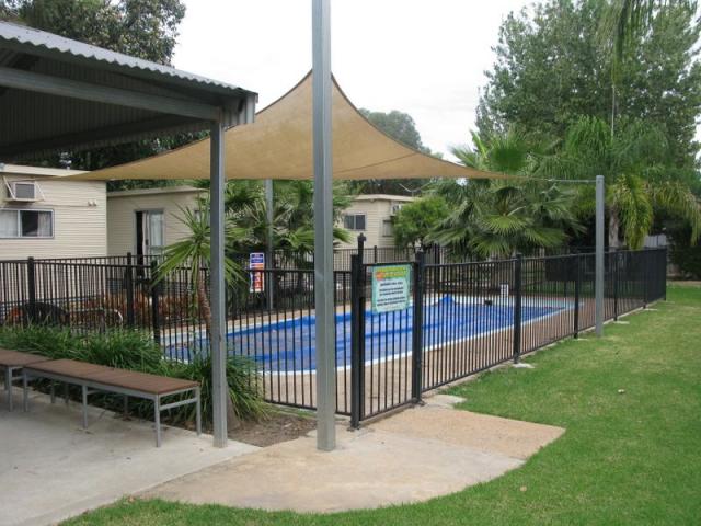 Narrabri Motel and Caravan Park - Narrabri: Swimming pool 