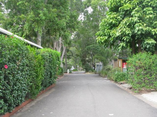 Highway Tourist Village - Narrabri: Good paved roads throughout the park 