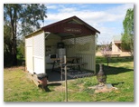 Narrandera Caravan Park - Narrandera: Camp kitchen and BBQ area