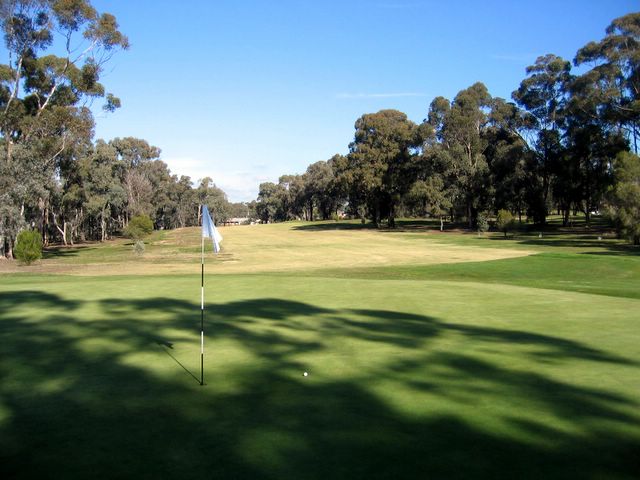 Neangar Park Golf Course - Bendigo: Green on Hole 8