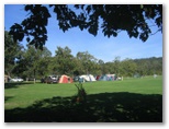 BIG4 Nelligen Holiday Park - Nelligen: Area for tents and campers