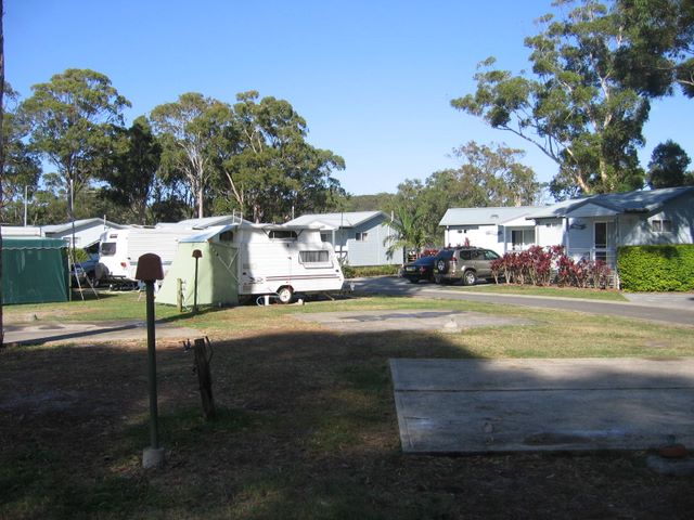 Halifax Holiday Park - Nelson Bay: Powered sites for caravans