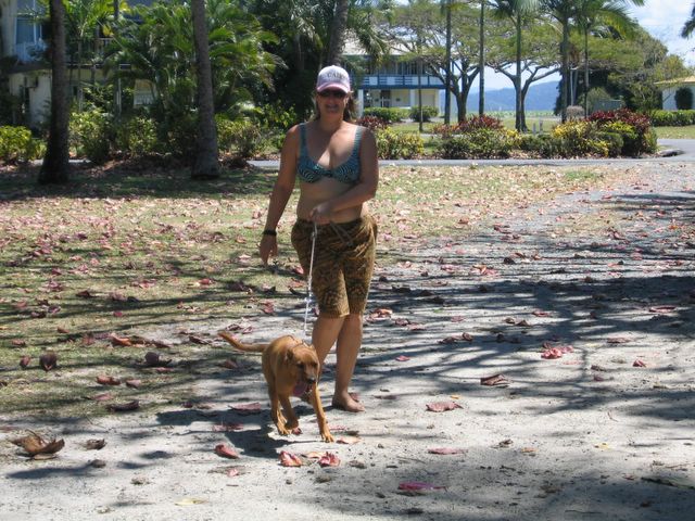 Newell Beach Caravan Park - Newell Beach: Pets staying at the park love to walk along the beach