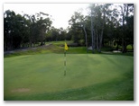 Tewantin Noosa Golf Course - Tewantin: Green on Hole 7 - a large gully separates the green from the tee