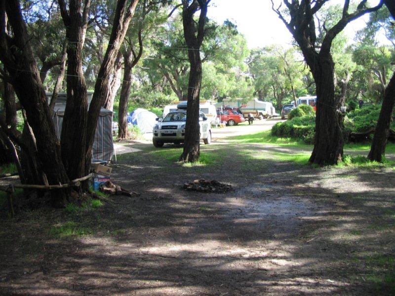 Parry Beach Camp Area - Parryville: Overview of the campground