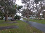 Beachfront Holiday Park - North Haven: Lots of trees in the park