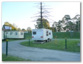 The Willows - Nowra: Powered sites for caravans