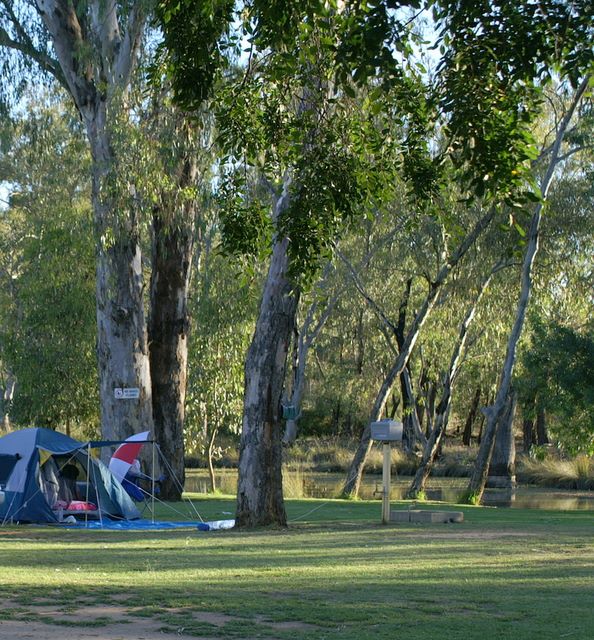 Numurkah Caravan Park - Numurkah: Area for tents and camping - photo by Terry Harbor