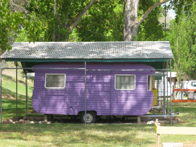 Omeo Caravan Park - Omeo: Colourful on site van with good shade protection.